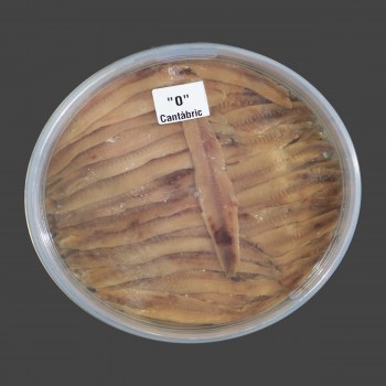 AnchoaCANT_25 0